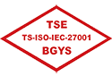 TSE